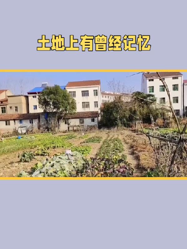 土地上的血迹 土地上的血迹