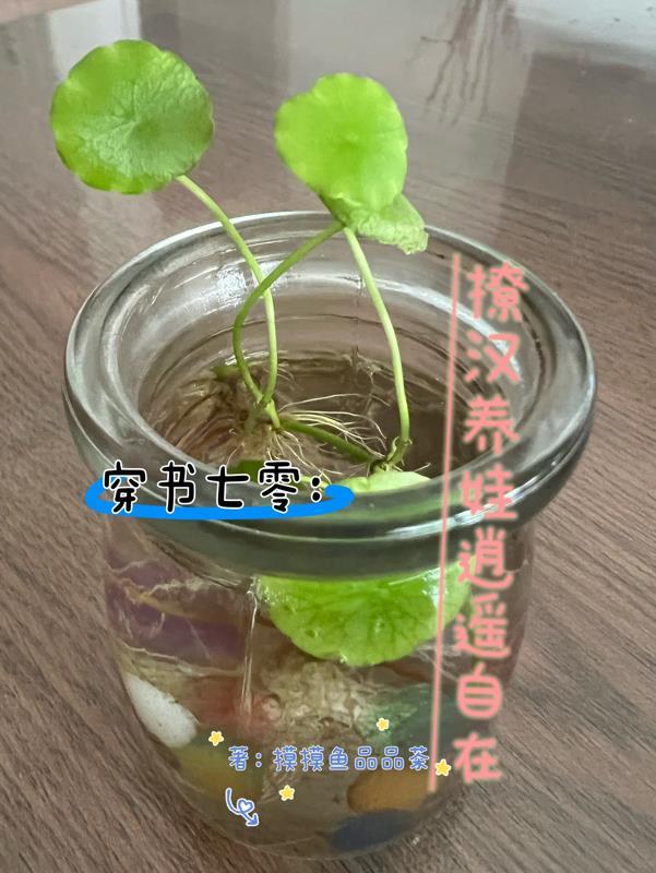穿书系统七零养崽记沈瑶瑶 穿书系统七零养崽记沈瑶瑶