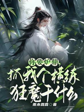 抓我个横练狂魔干什么作者雨木霖霖 抓我个横练狂魔干什么作者雨木霖霖