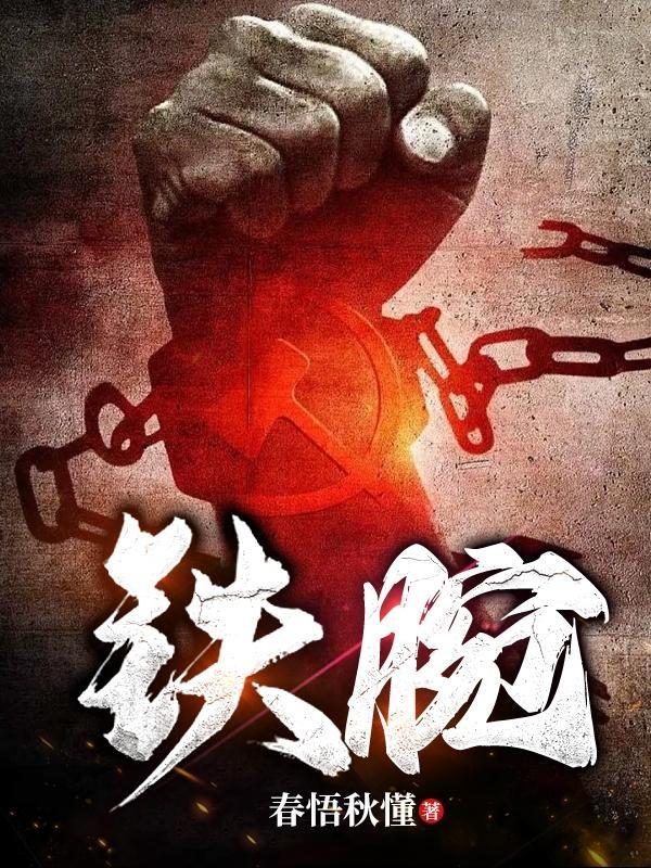 官场铁腕书记 官场铁腕书记