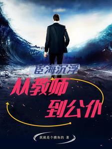 宦海沉浮简介 宦海沉浮简介