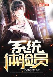用户体验系统 用户体验系统