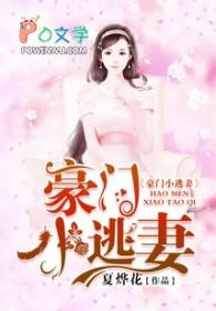 豪门小逃妻蓝灵儿