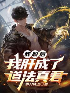 辞职后的我 辞职后的我