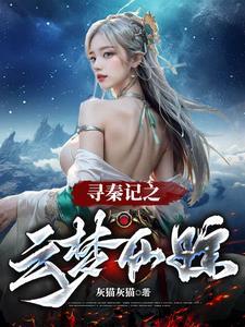 寻秦记 云 寻秦记 云