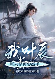 我叶辰终于回来了 我叶辰终于回来了