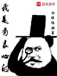 我是有良心的TXT精校 我是有良心的TXT精校