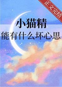 猫咪的精灵 猫咪的精灵