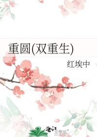 重圆双重生柳曦珠卫陵 重圆双重生柳曦珠卫陵