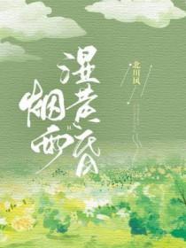 烟雨起苍黄 烟雨起苍黄