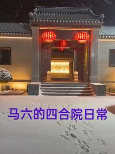 马六车型 马六车型