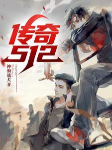 传奇510多少钱一辆 传奇510多少钱一辆