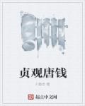唐贞观元年是哪一年 唐贞观元年是哪一年