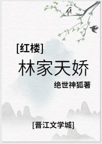 红楼之林家哥 红楼之林家哥