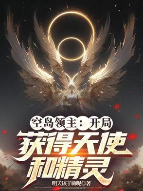 空岛大领主 三光普照 空岛大领主 三光普照