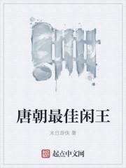 唐朝最佳闲王在线阅读 唐朝最佳闲王在线阅读
