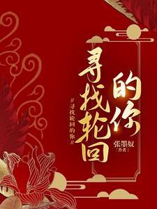 寻找轮回之际什么歌 寻找轮回之际什么歌