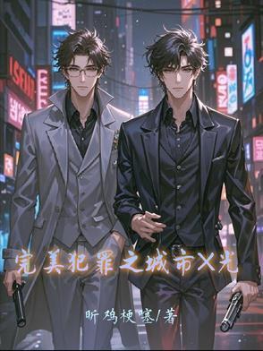 完美犯罪10集 完美犯罪10集