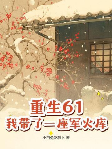 带着军火重生六零 带着军火重生六零