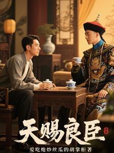 天赐良妃 天赐良妃