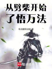 从劈柴开始了悟万法无防盗 从劈柴开始了悟万法无防盗