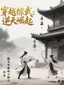 好看的综武穿越 好看的综武穿越