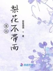 梨花落地txt
