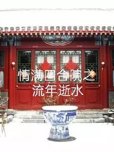 情满四合院全集 情满四合院全集