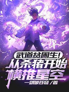 武道杀伐 武道杀伐