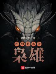 回到明末做枭雄 鲲鹏九变 回到明末做枭雄 鲲鹏九变