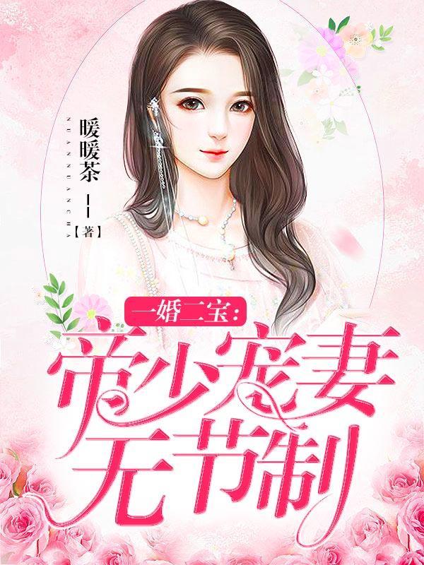 一婚二宝 帝少宠妻无节制 一婚二宝 帝少宠妻无节制
