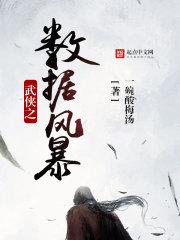 数据类武侠 数据类武侠