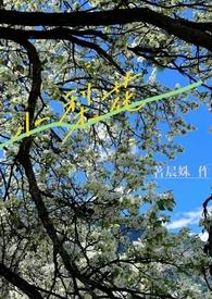 小梨花(校园) 小梨花(校园)