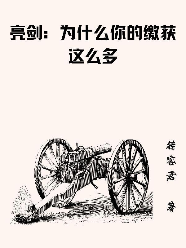 亮剑为什么你的缴获这么多有声 亮剑为什么你的缴获这么多有声