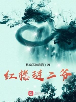 红楼琏二爷TXT全本 红楼琏二爷TXT全本