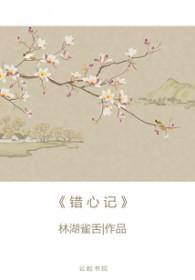 错心记txt百度
