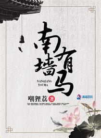 南墙在哪里