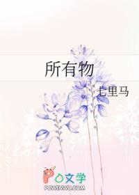 所有物的英文 所有物的英文