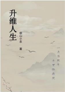 升维科技官网 升维科技官网