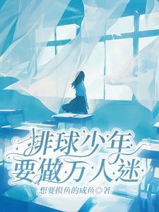 排球少年晋江