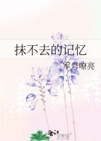 抹不去的回忆为题的作文