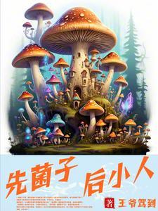 先菌子后小人云南 先菌子后小人云南