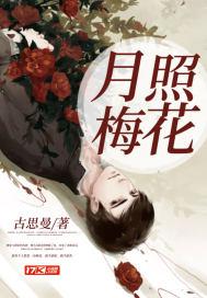 月照梅花图片 月照梅花图片