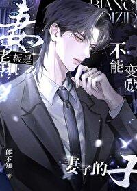 老板是不能变成妻子的 作者郎不知 老板是不能变成妻子的 作者郎不知