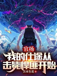 我的官场人生 我的官场人生