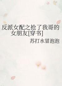 反派女配他哥