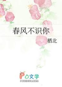 春风不识你作者栖北 春风不识你作者栖北