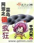 网游之菜鸟很疯狂 千镜八荒 网游之菜鸟很疯狂 千镜八荒