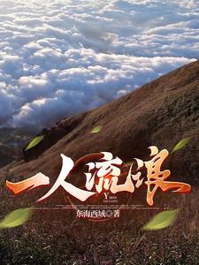一人独自流浪在外 一人独自流浪在外