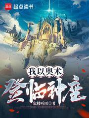 我以奥术登临神座精校版 我以奥术登临神座精校版